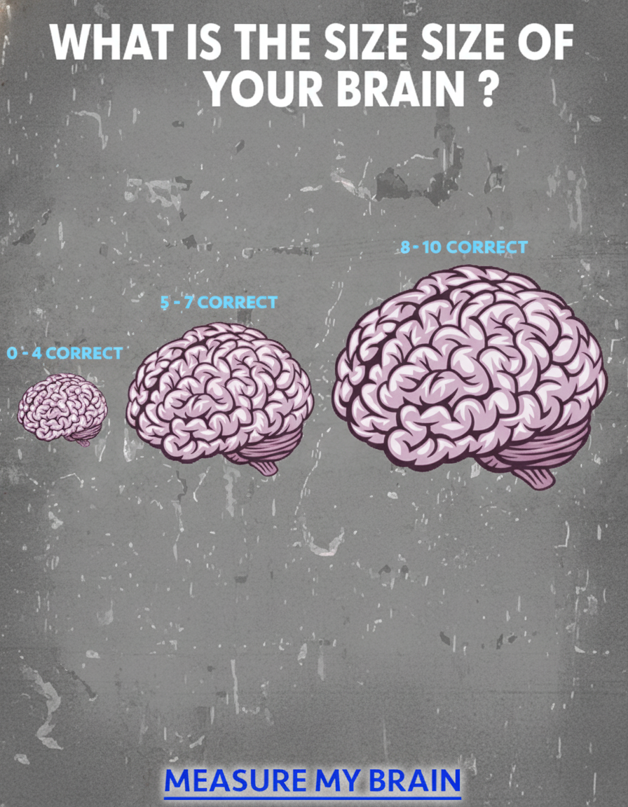 The size of the brain is important.