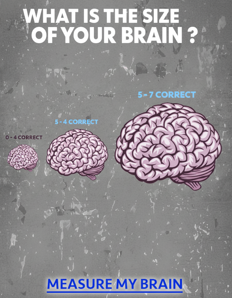 The size of the brain is important.