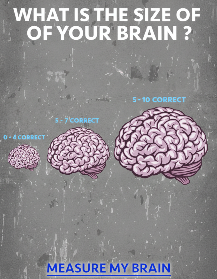 Brain size does matter