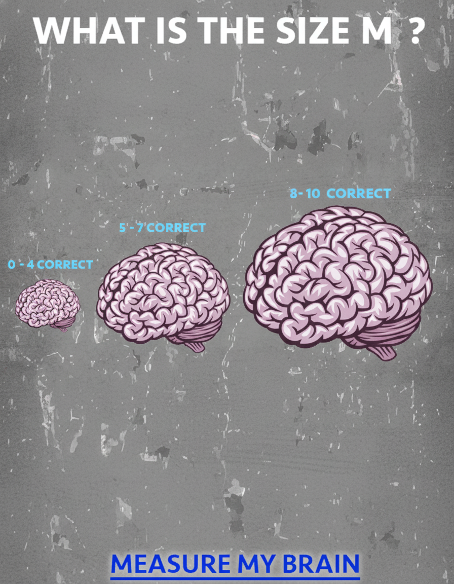 Brain size does matter