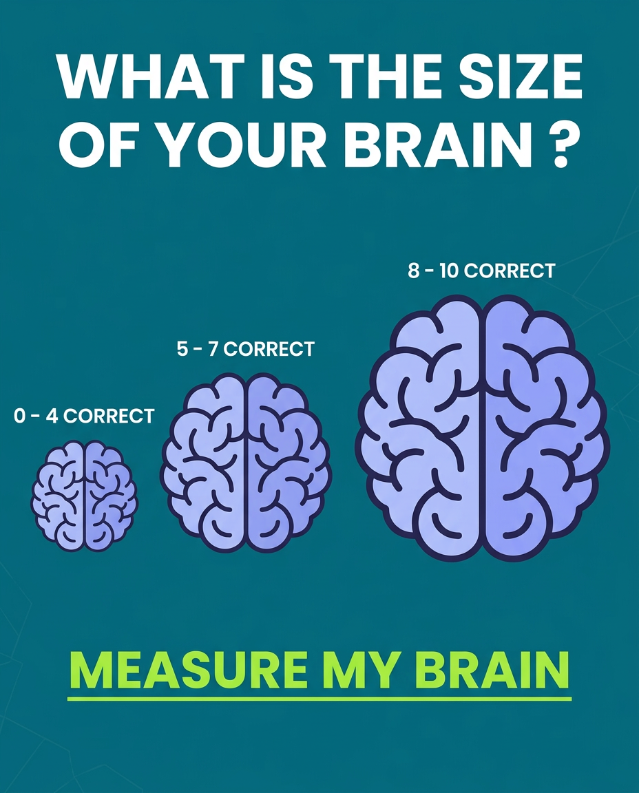 Take the quiz and measure your brain.